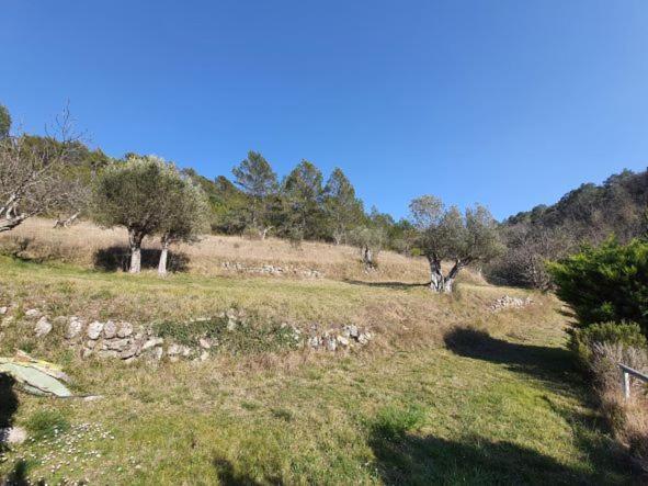 La Ferme De Manon Apartment Montferrat  ภายนอก รูปภาพ